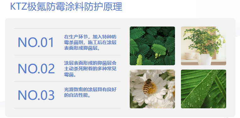 25c9290b99b3a119ac5d6575d0ca9d53.png